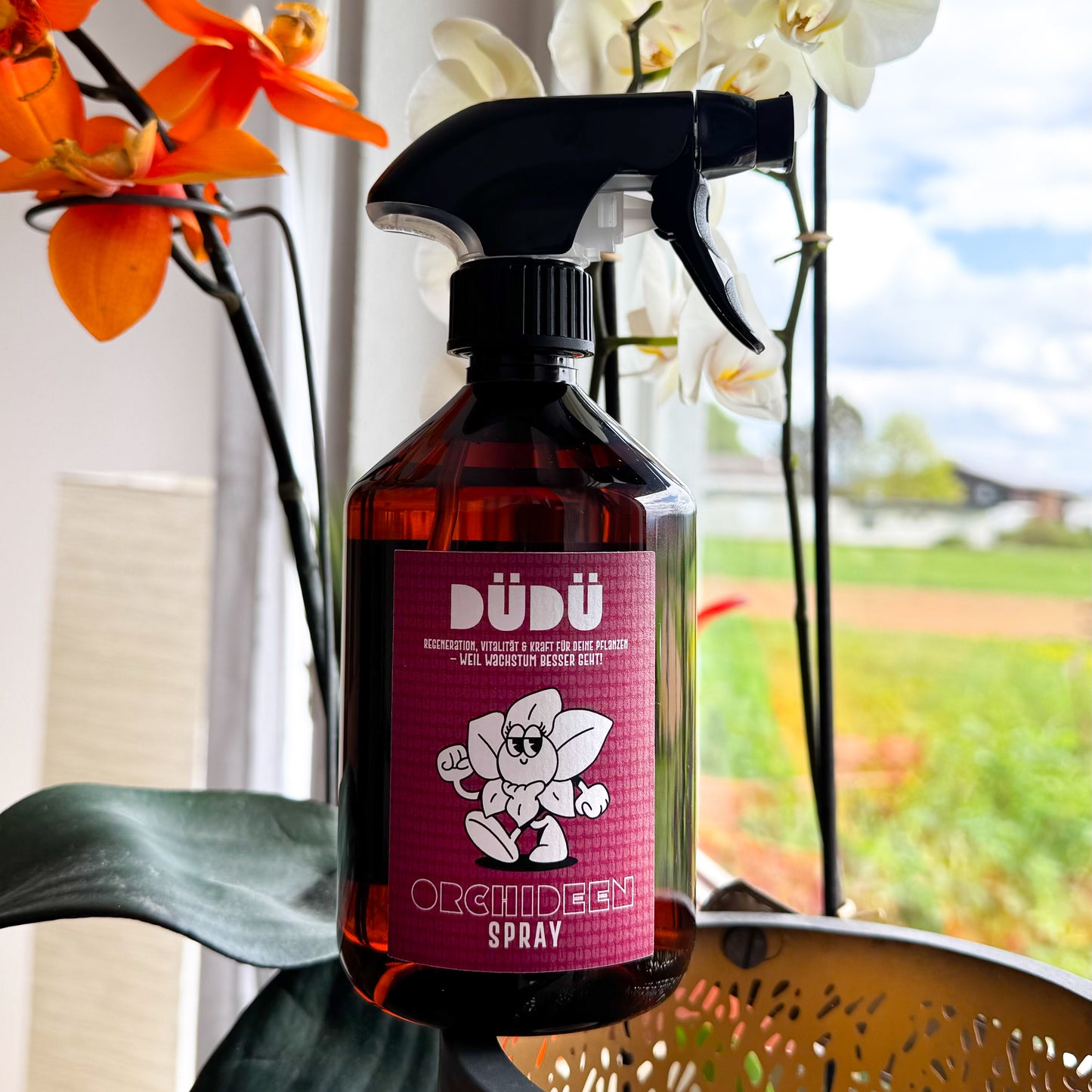 Orchideen Spray - DÜDÜ
