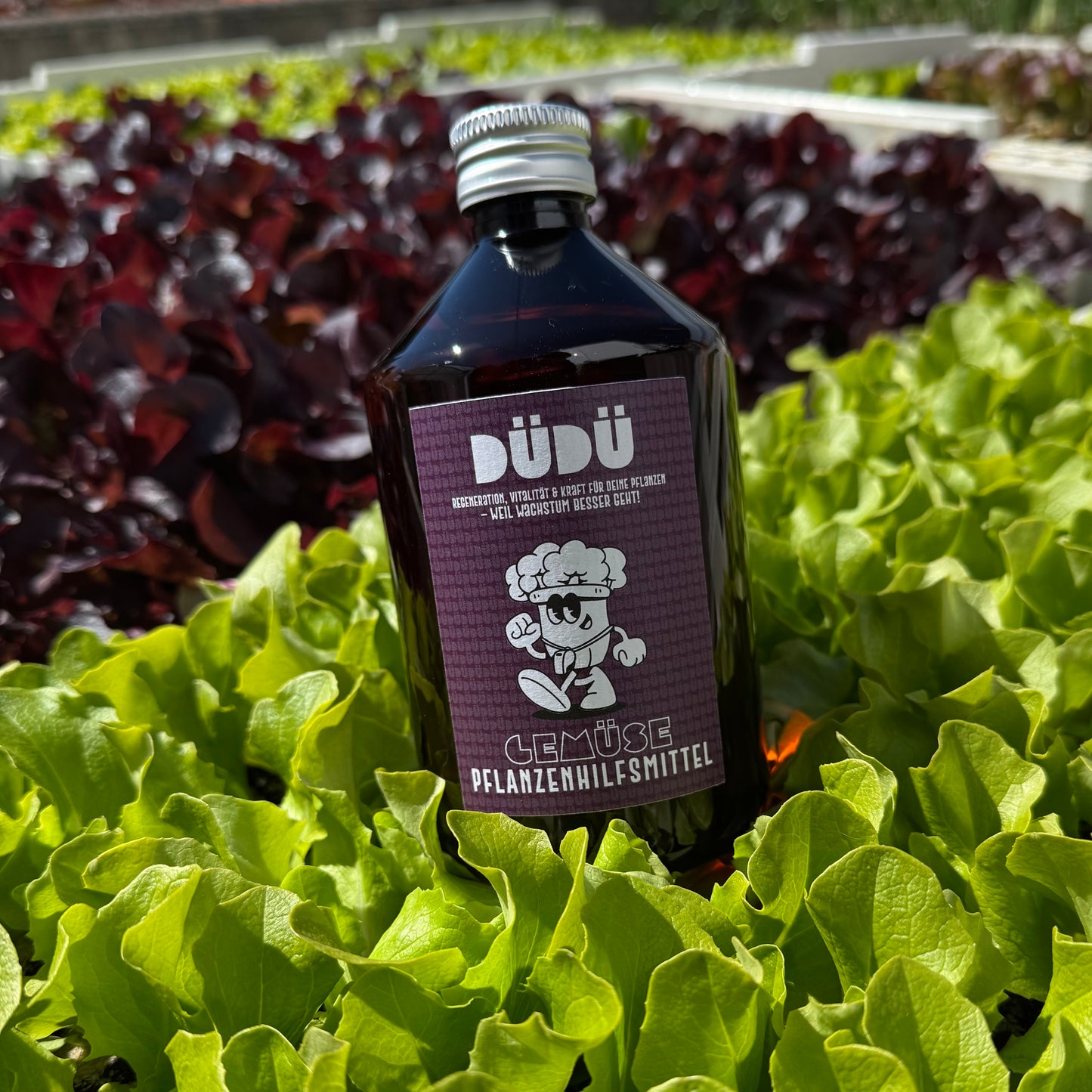 DÜDÜ - Gemüse Pflanzenhilfsmittel